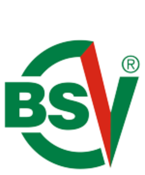 BSV_Logo_Header Bremer Schutzverbauungen